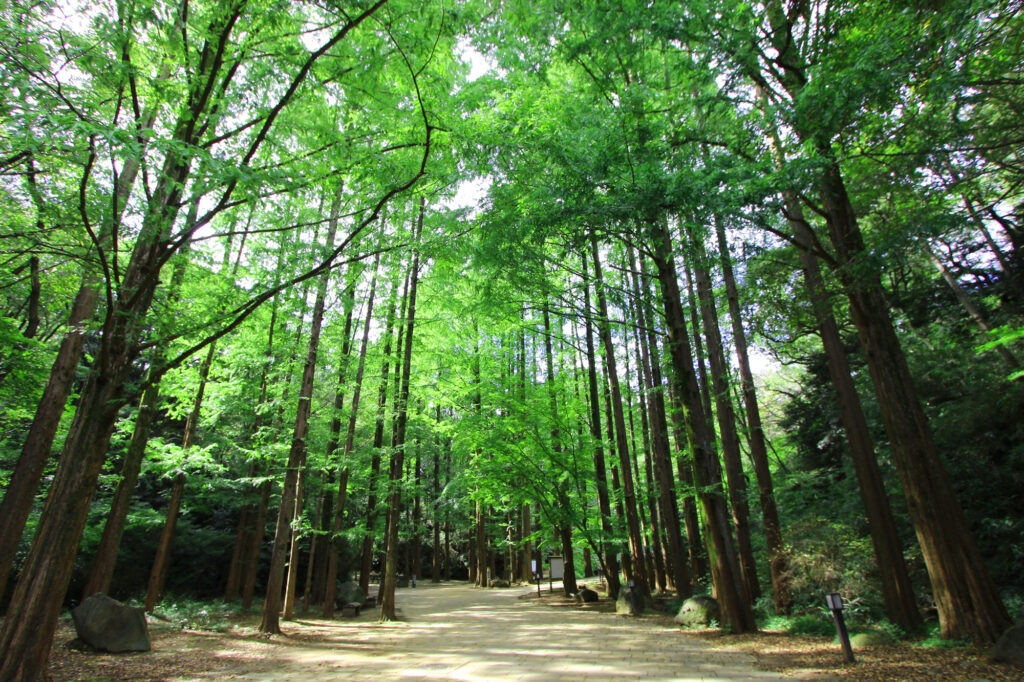 生田緑地